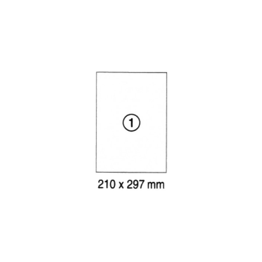 Xel-lent 1 label/sheet, straight corners, Glossy, A4, 210 x 297 mm, 100 sheets/pack