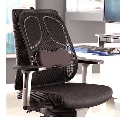 Fellowes Mesh Back Support - Professional Series