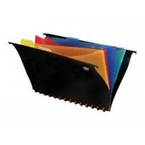 FIS PVC Hanging File with 5 Color indexed Folder, F/S, (210x330mm)