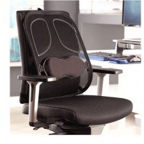 Fellowes Mesh Back Support - Professional Series
