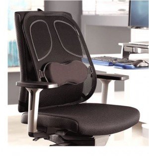 Fellowes Mesh Back Support - Professional Series